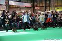 Crufts2011_2 781